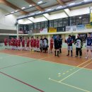 Wilki 26